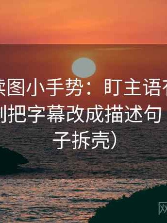 微密圈读图小手势：盯主语有没有对上，立刻把字幕改成描述句（像做句子拆壳）