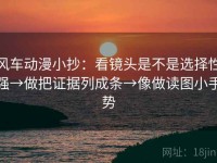 风车动漫小抄：看镜头是不是选择性强→做把证据列成条→像做读图小手势