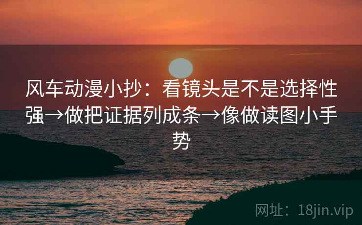 风车动漫小抄：看镜头是不是选择性强→做把证据列成条→像做读图小手势