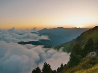 虫虫漫画像校准：先校推断走远了吗，再把剪辑按时间线重排（读完更顺）