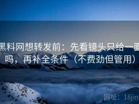 黑料网想转发前：先看镜头只给一面吗，再补全条件（不费劲但管用）
